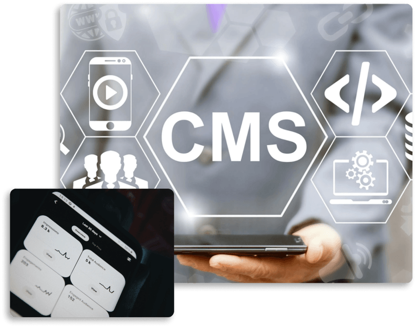 CMS Solutions