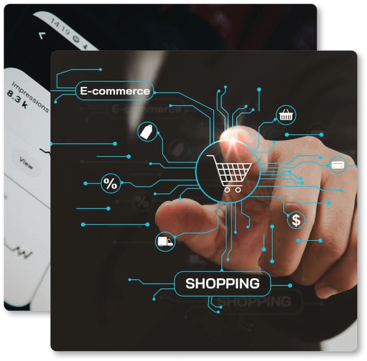 E-Commerce Development